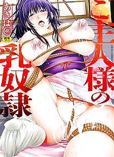 chinese manga Goshujin-sama no Chichi Dorei, full color , ponytail  milf